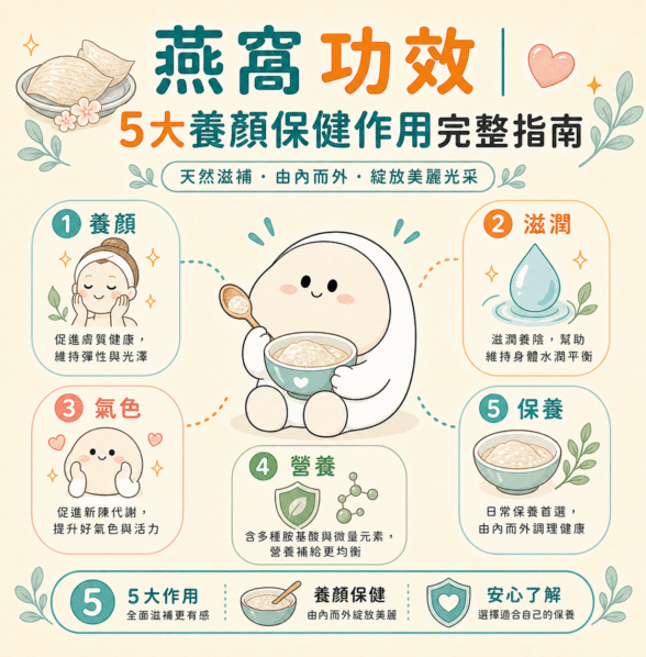 燕窩功效 完整指南