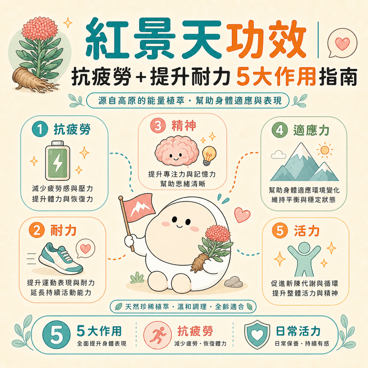 紅景天功效 完整指南